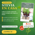 El Método Stevia en Casa — Aprende a cultivar y aprovechar tu propia planta, sin depender del azúcar.